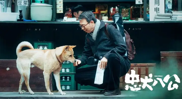 腾讯视频在国外有地域限制怎么办